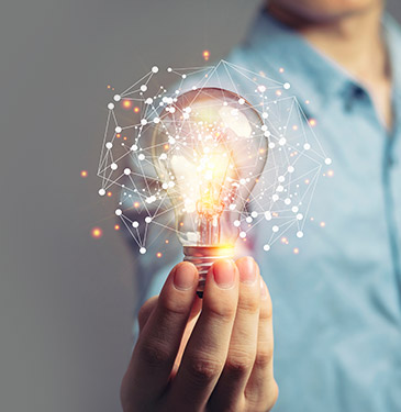 전문적인 신양인